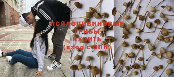 ALPHA PVP Пересвет