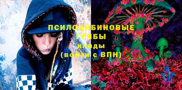 крисы Переславль-Залесский